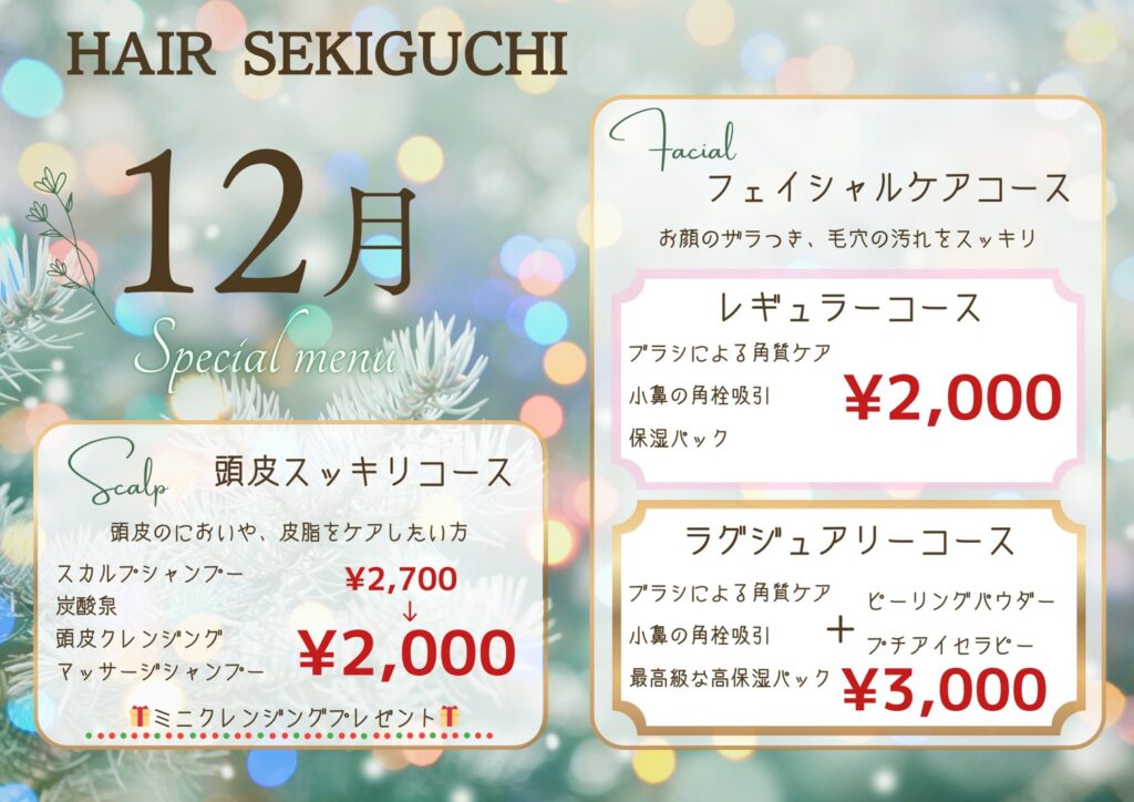 HAIR SELKIGUCHI12月