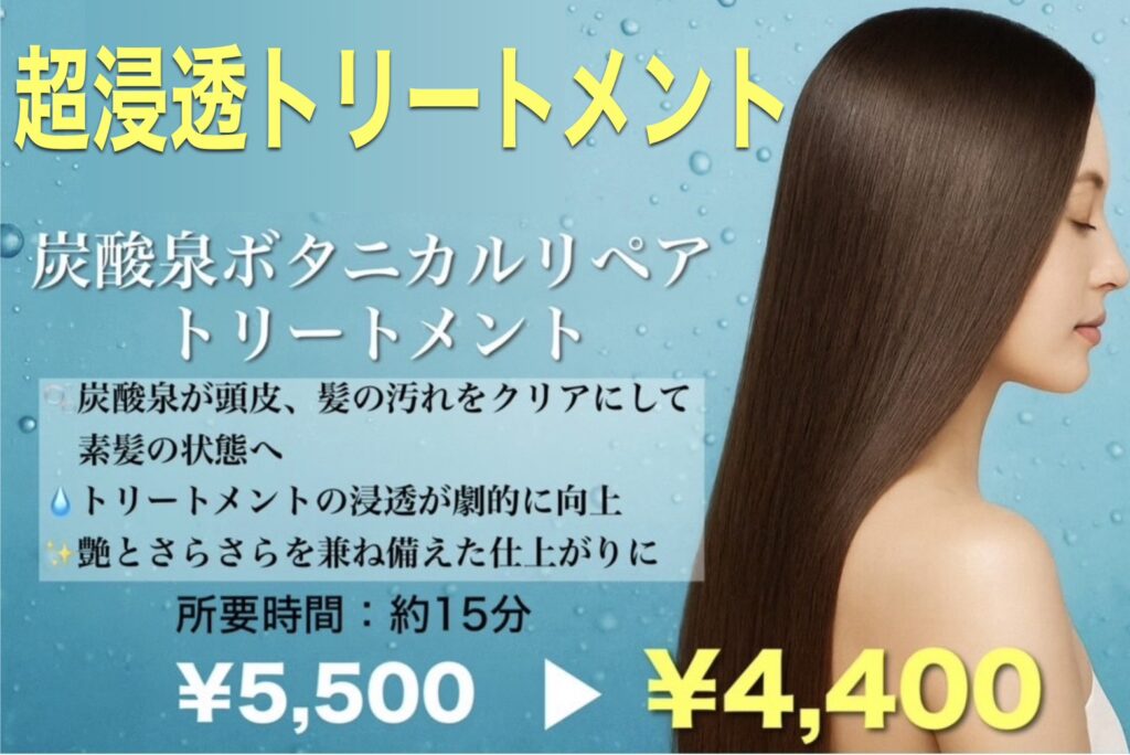 超浸透炭酸泉ボタニカルリペアトリートメント